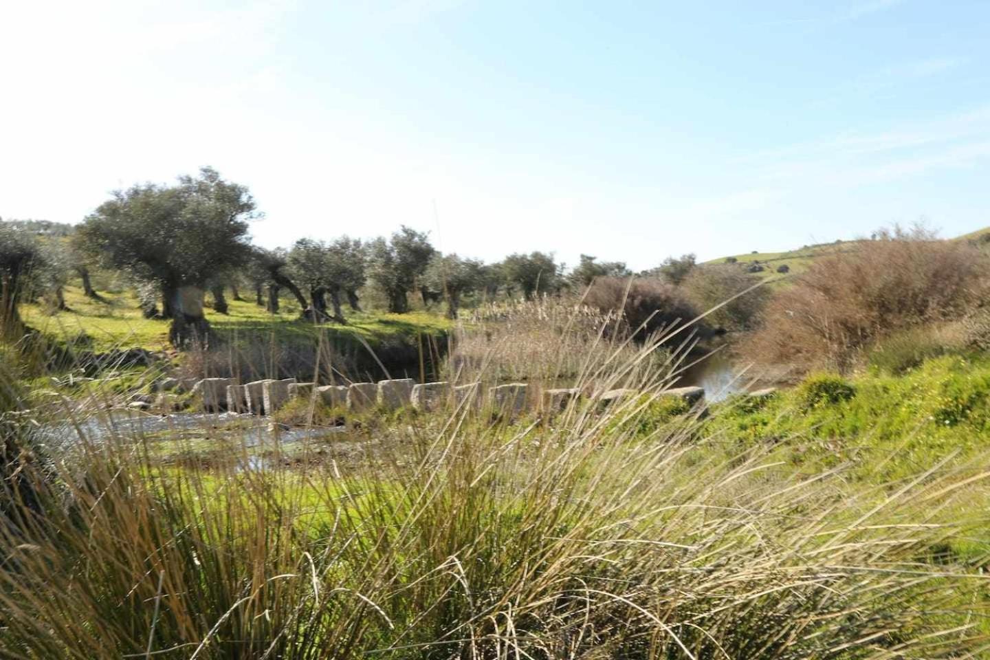 El Olivar Agloipe Ahigal Trcc Extérieur photo