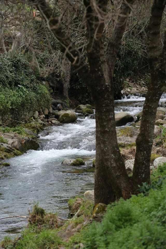 El Olivar Agloipe Ahigal Trcc Extérieur photo